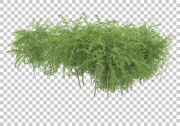 Island of grass on transparent background 3d rendering illustration