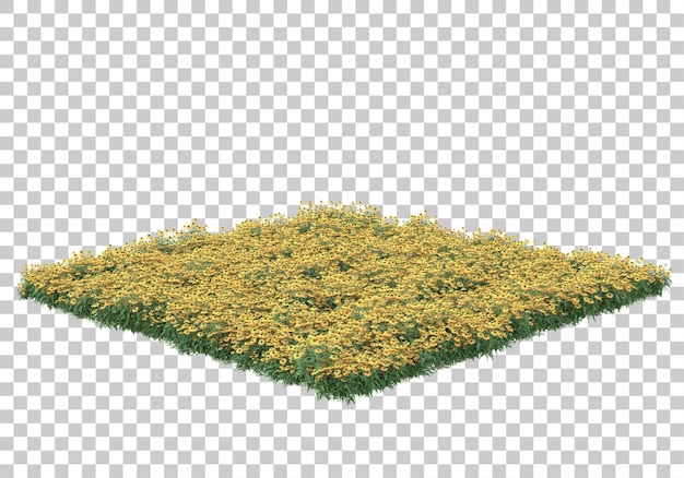island of grass on transparent background 3d rendering illustration