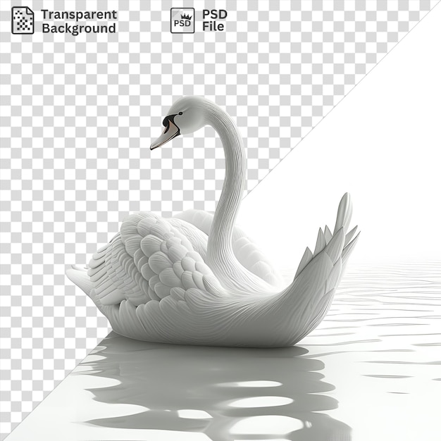 PSD isolated 3d animated swan gliding gracefully on water accompanied by a white swan and its reflection with a black beak visible in the foreground