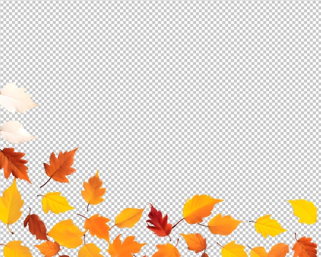 PSD isolated autumn leaves on transparent background