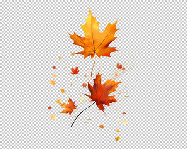 PSD isolated autumn leaves on transparent bakground