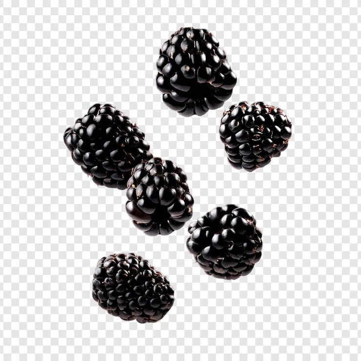 PSD isolated blackberries fresh berries on transparent background