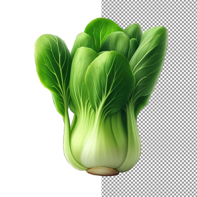 PSD isolated bok choy leavespng