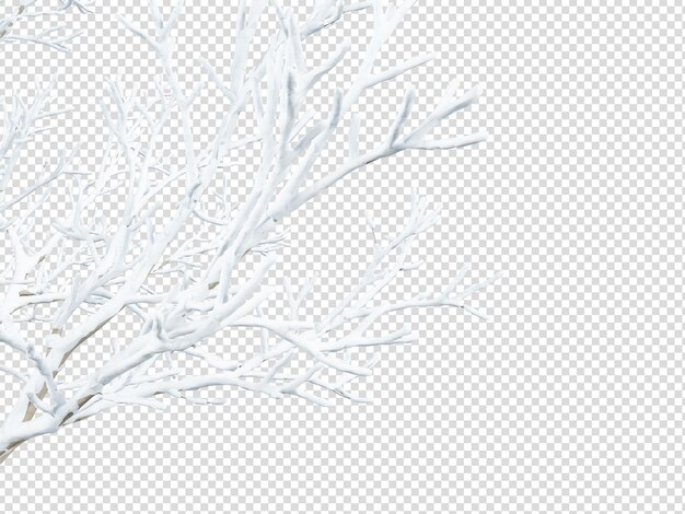 PSD isolated branches of a snow tree on white background