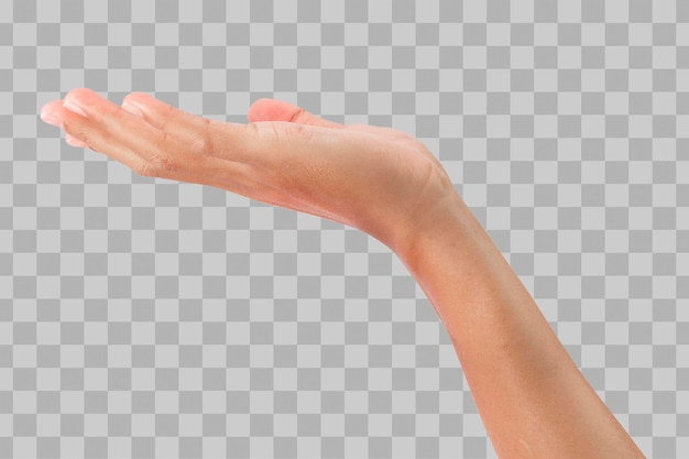 PSD isolated buautiful hand