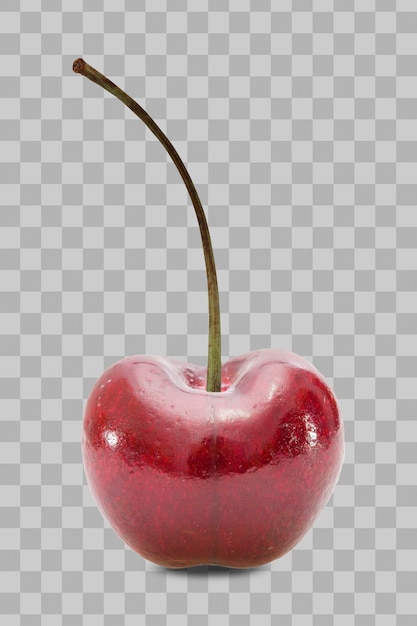 Isolated cherry