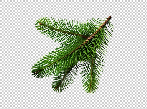 Isolated christmas tree on transparent background