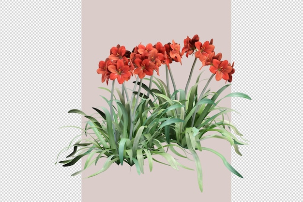 Isolated color flowers in 3d rendering isolated