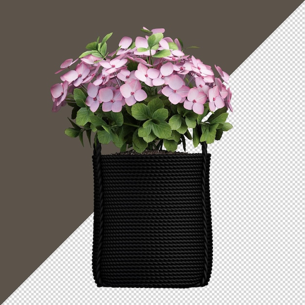 isolated flower in vase in 3d rendering