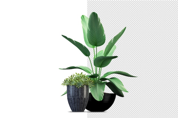 木製のバスケットに孤立した新鮮な植物