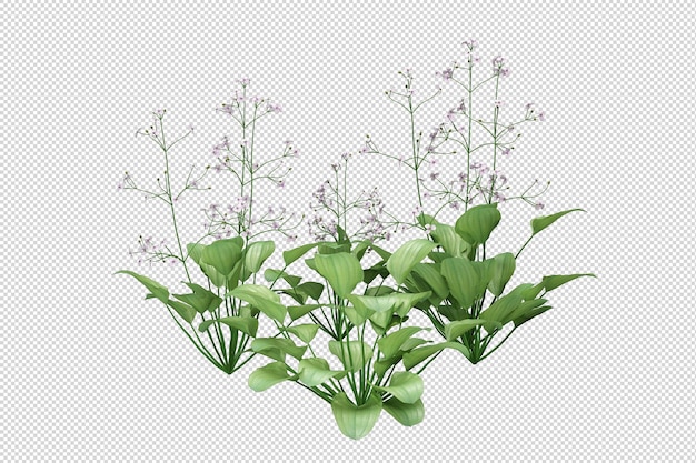 isolated grass in 3d rendering