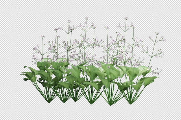 PSD isolated grass in 3d rendering