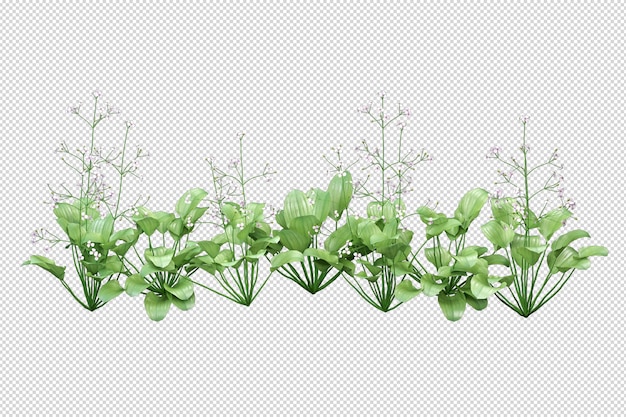 PSD isolated grass in 3d rendering