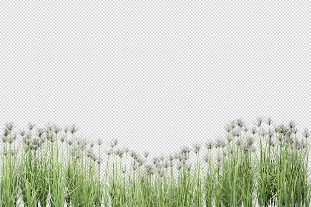 PSD isolated grass in 3d rendering