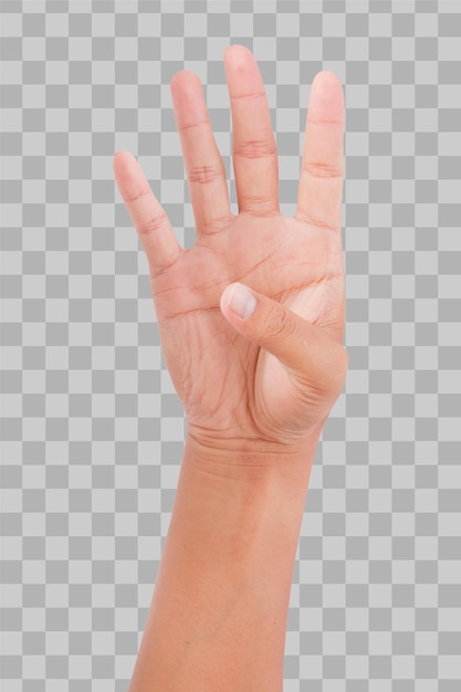 Изолированная рука, показывающая номер четыре