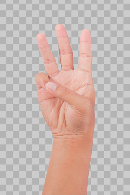 PSD isolated hand showing number three