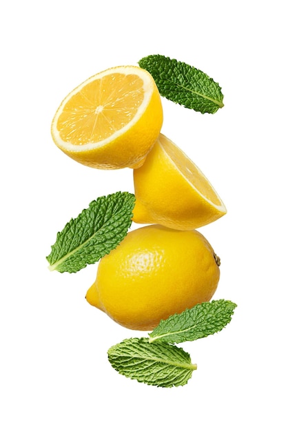 isolated lemons lemon slices and mint leaves falling on white background levitation