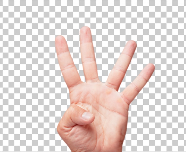 Isolated male hand gesturing a number