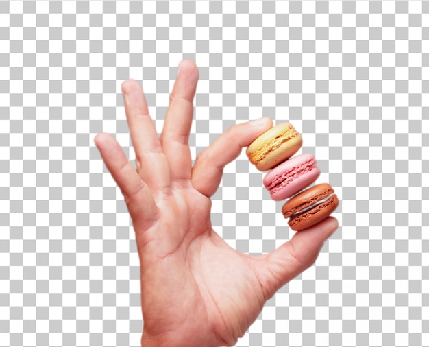 PSD isolated male hand holding sweet bisquits