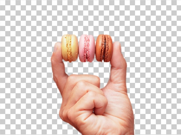 PSD isolated male hand holding sweet bisquits