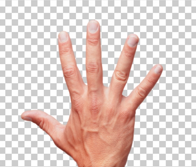 PSD isolated male hand