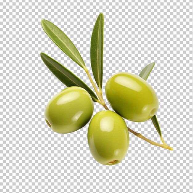 Isolated olive png