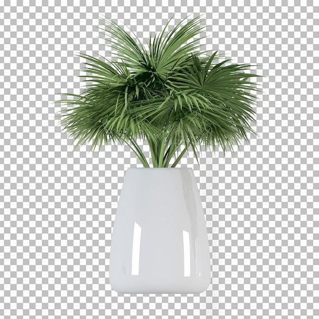 PSD Изолированное пальмовое растение в 3d-рендеринге