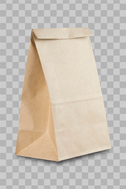 PSD isolated paper bag