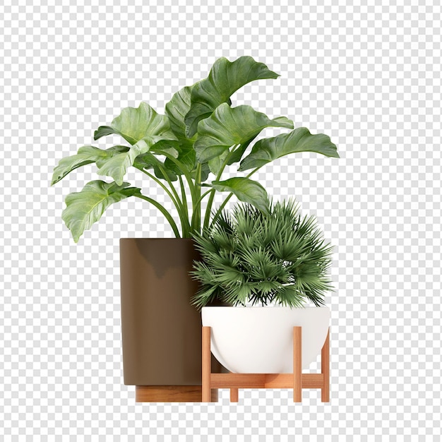 Isolated plant in 3d rendering