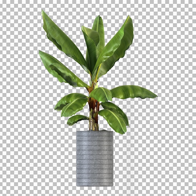 3Dレンダリングで分離された植物