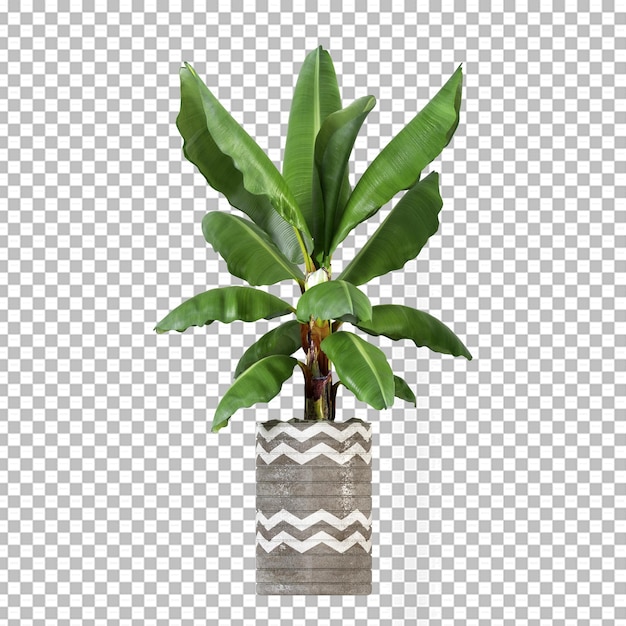 PSD 3dレンダリングで分離された植物