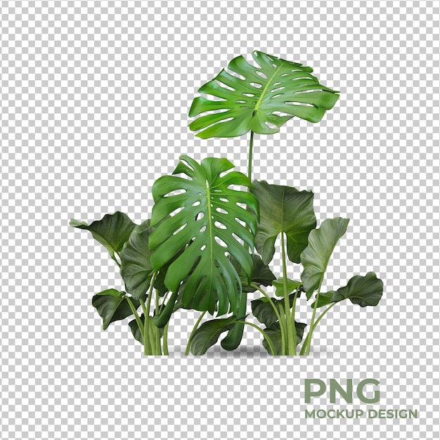 Isolated plants scene creator