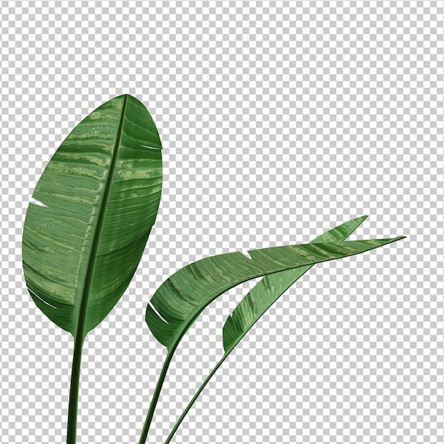 Isolated plants scene creator