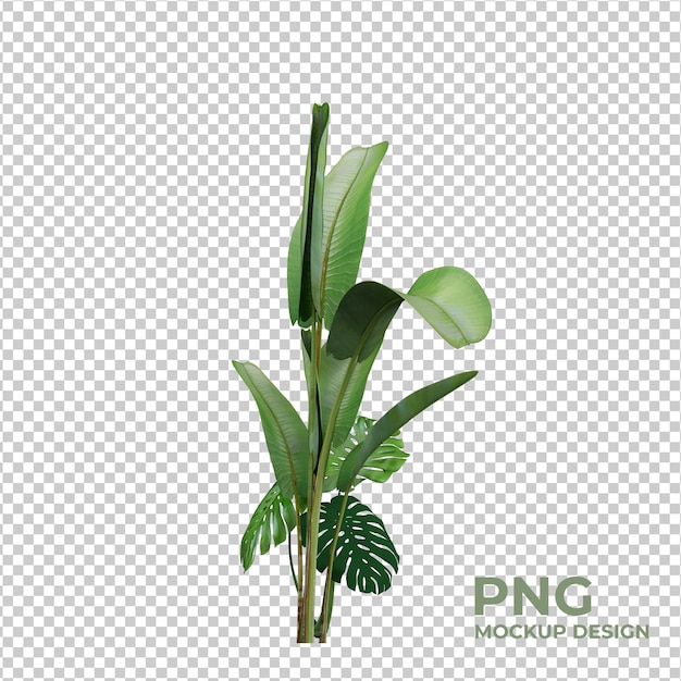 PSD 孤立した植物シーンクリエーター