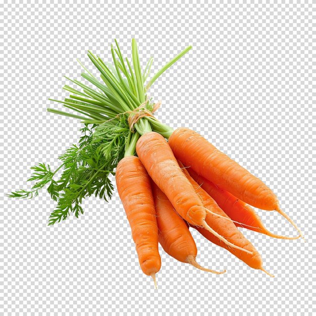 PSD isolated png of carrot on transparent background for carrot day