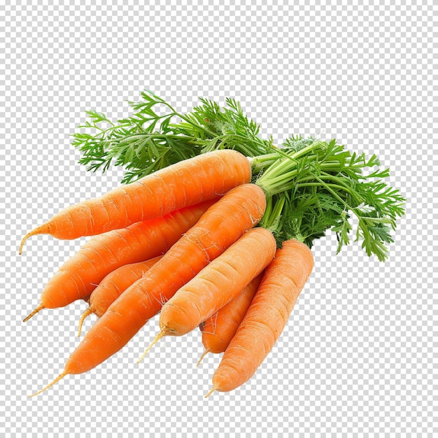 PSD isolated png of carrot on transparent background for carrot day