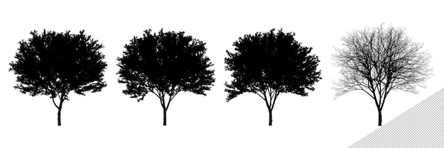 Isolated Realistic Cherry Tree Silhouettes