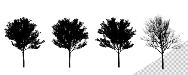 Isolated Realistic Medium Size Cherry Tree Silhouettes