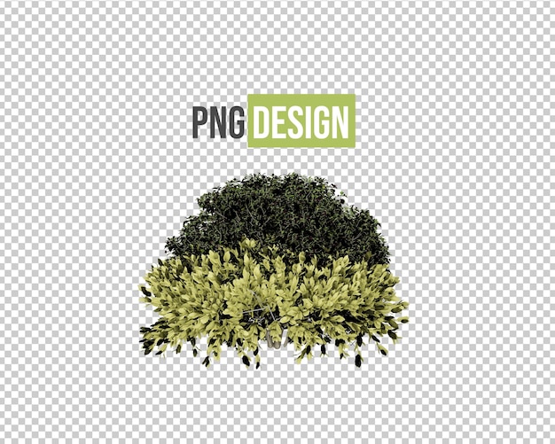 PSD isolated tropical flowers for decoration