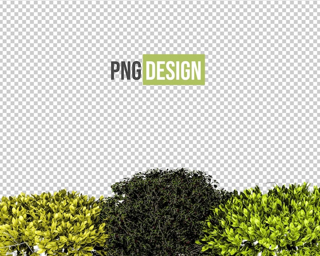 PSD isolated tropical flowers for decoration