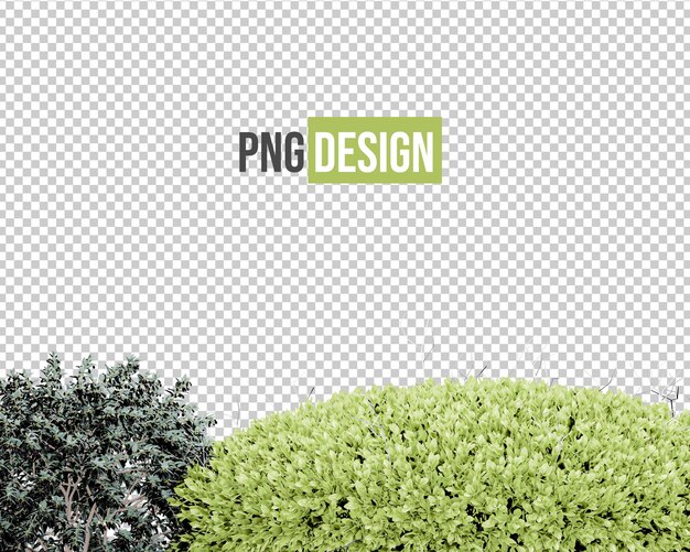 PSD isolated tropical flowers for decoration