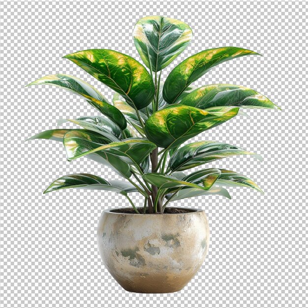 PSD isolated tropical leave and decorate