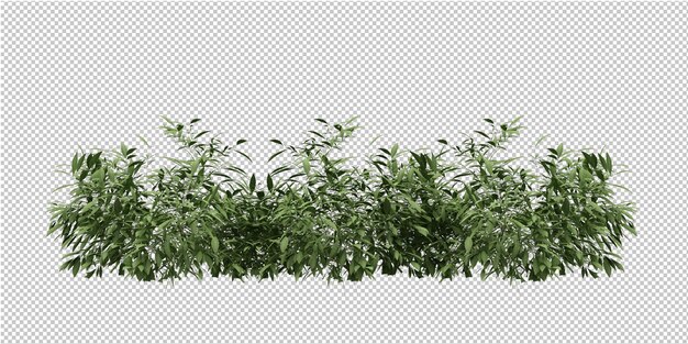 透明な背景に孤立した熱帯植物とココヤシの木