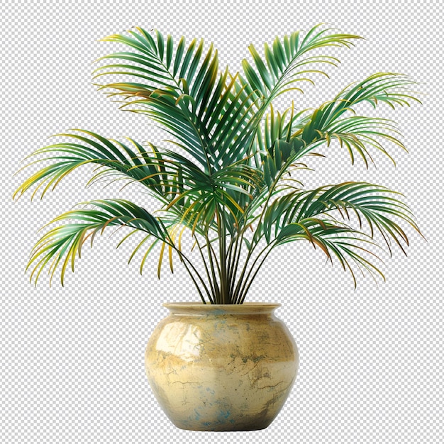 PSD isolated tropical plant