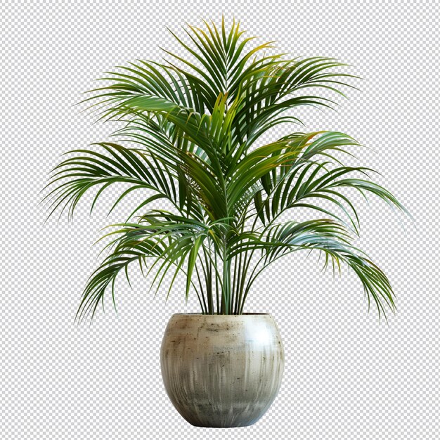 PSD isolated tropical plant