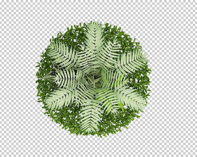 PSD isolated tropical plants decoration