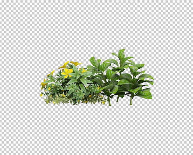 Isolated tropical plants decoration