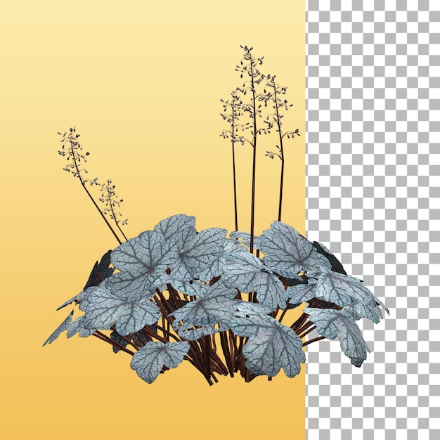 Isolated wild plant fit for your element design