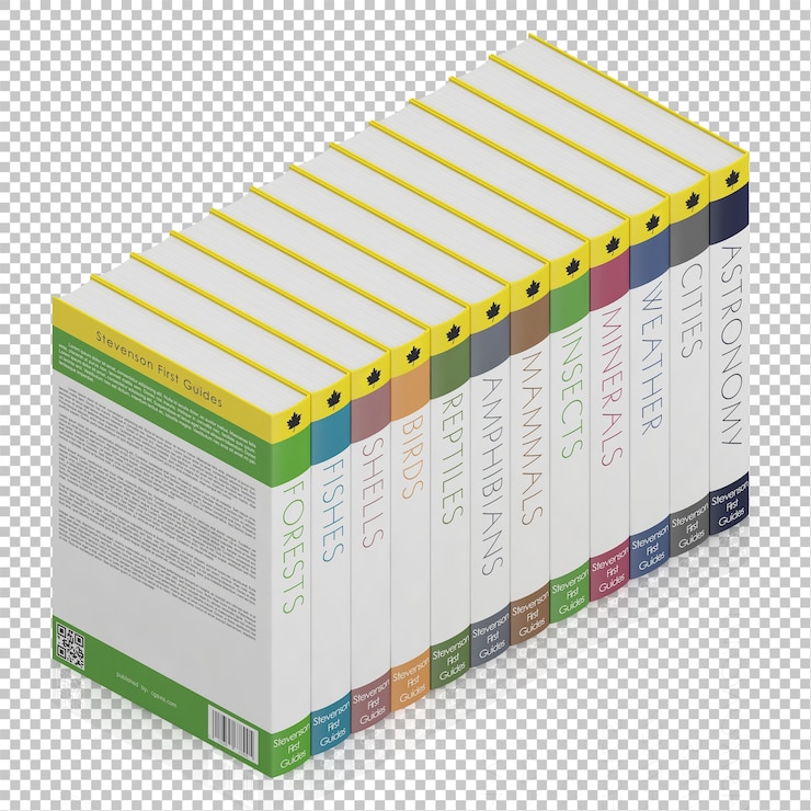 PSD isometric books