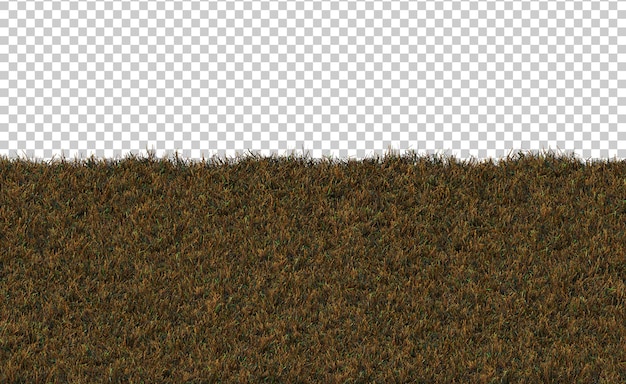 Isometric brown field grass landscape 3d rendering